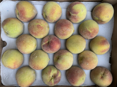 Peach Dessert Punnet