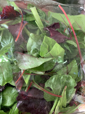 Boutique Salad Mix 100g
