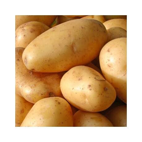 Potato Bag 10kg Large/ Medium