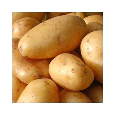 Potato Bag 10kg Large/ Medium