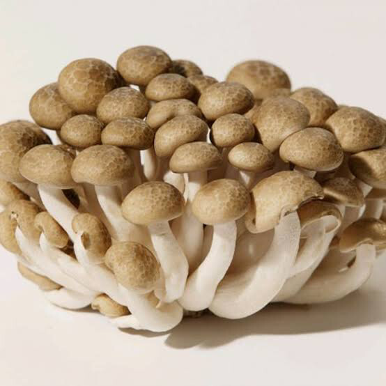 Mushroom Shimeji