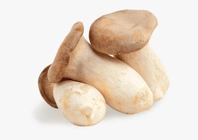 King Oyster Mushroom 500g
