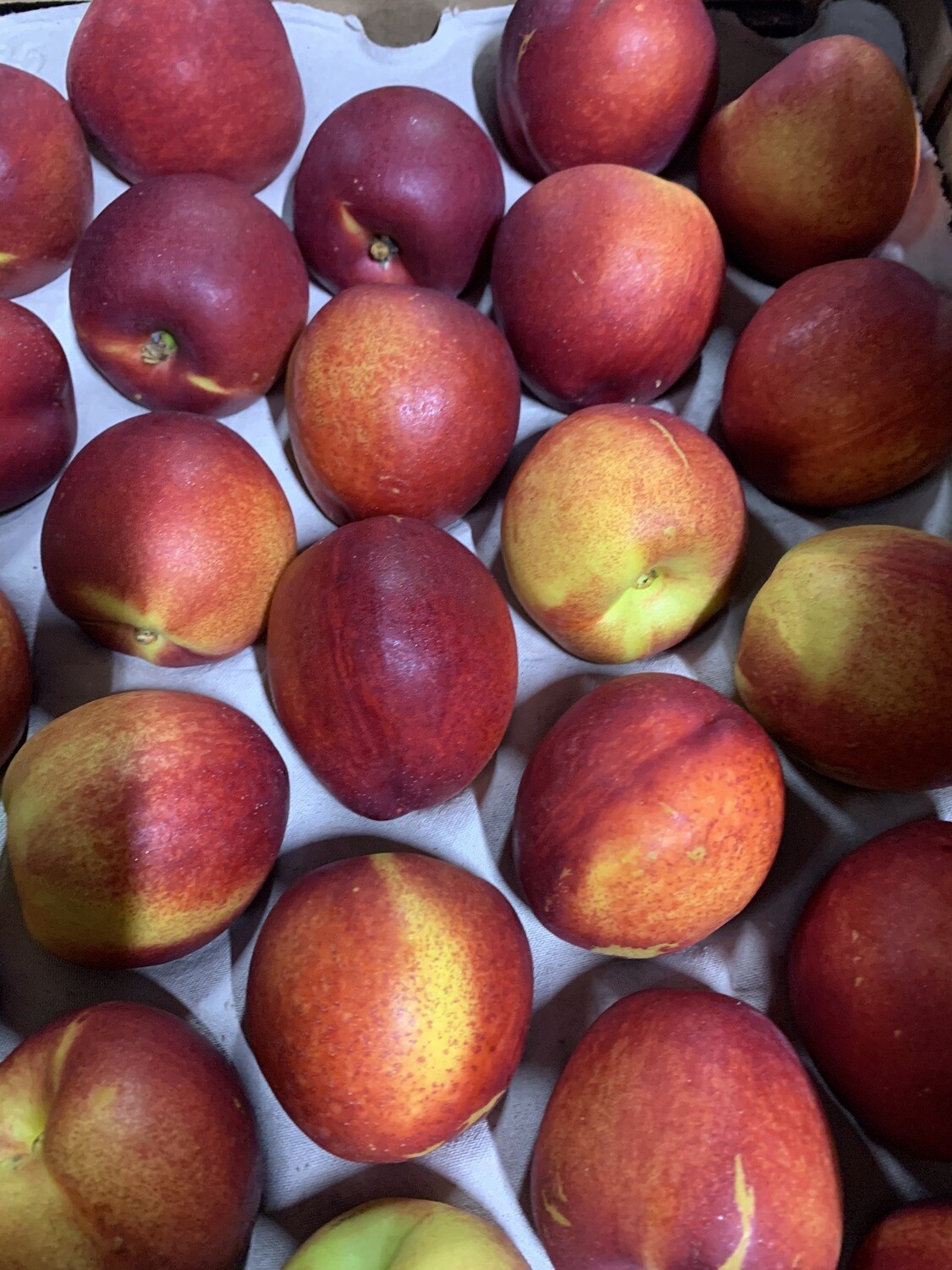 Nectarine Kg