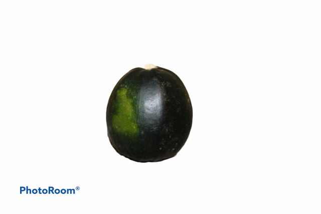 Gem Squash Kg 