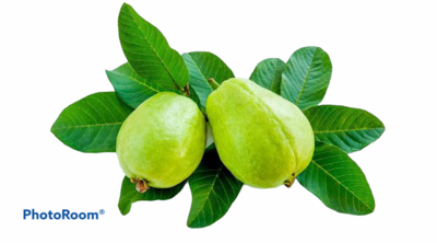 Guava Punnet 