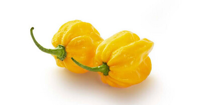 Habanero Chilli 150g