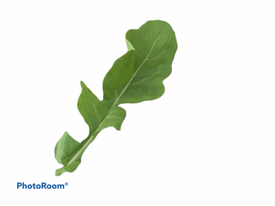 Rocket 30g