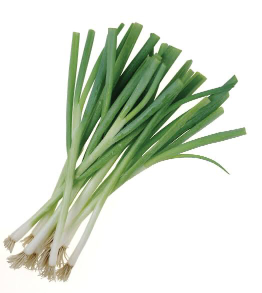 Spring Onion Bunch
