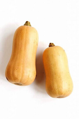 Butternut Bag 10kg 