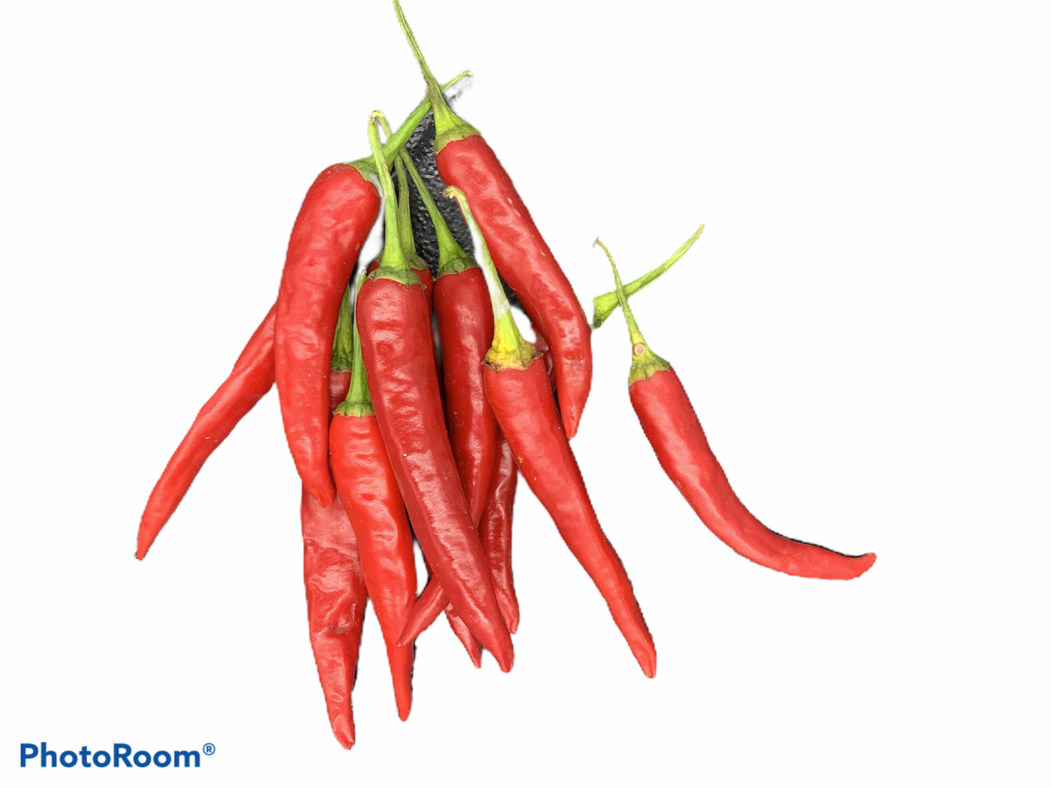 Chillies Red 100g