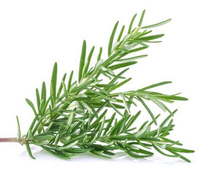 Rosemary 30g