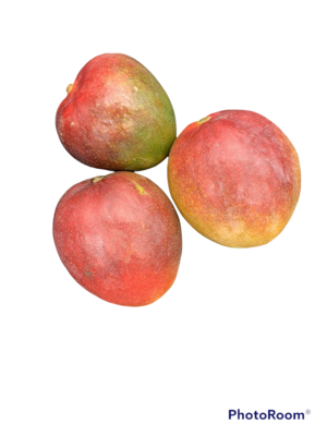 Mango Each (1 Mango)