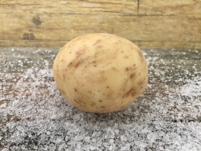 Potatoes Medium kg