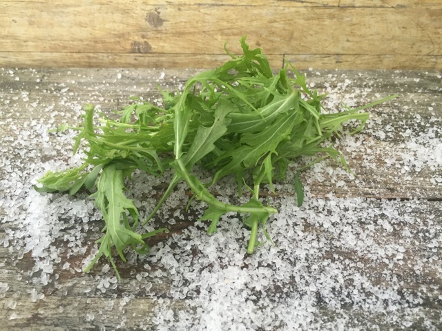 Rocket Wild 30g