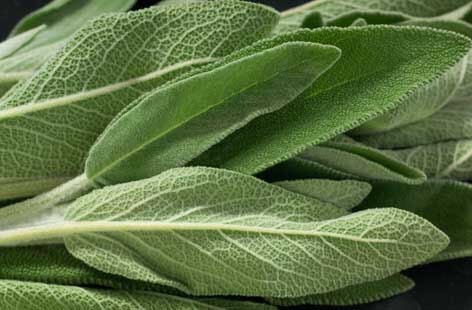 Sage 30g 