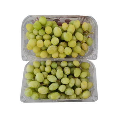 Grape Green  500g Punnet 