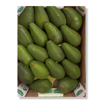 Avocado box 