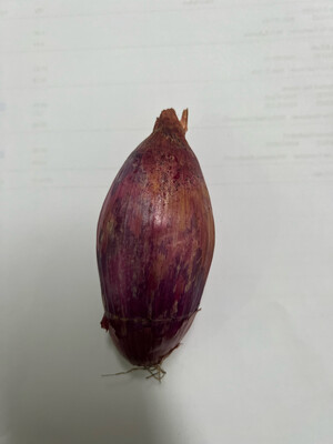 Shallots ( Mix Between Garlic And Baby Onion )kg