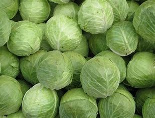 Baby Cabbage Punnet