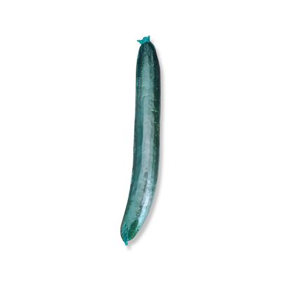 Cucumber
