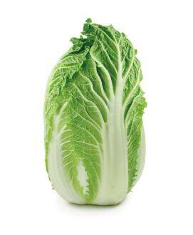 Chinese Cabbage Each 