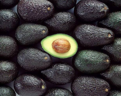 Avo Box