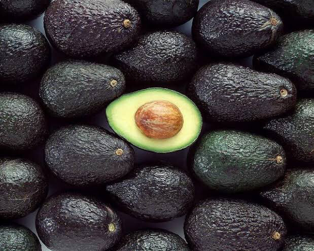 Avo Box