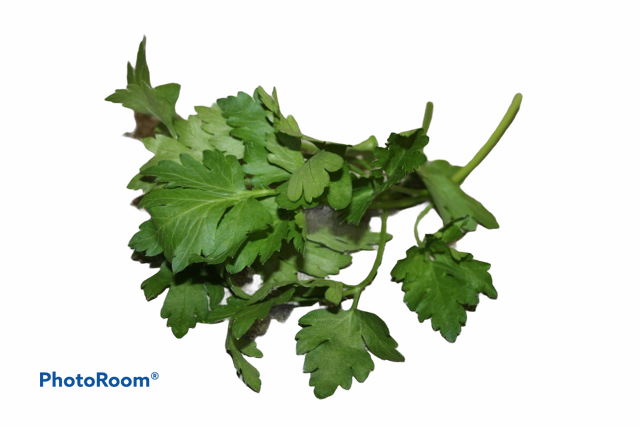 Italian Parsley 100g