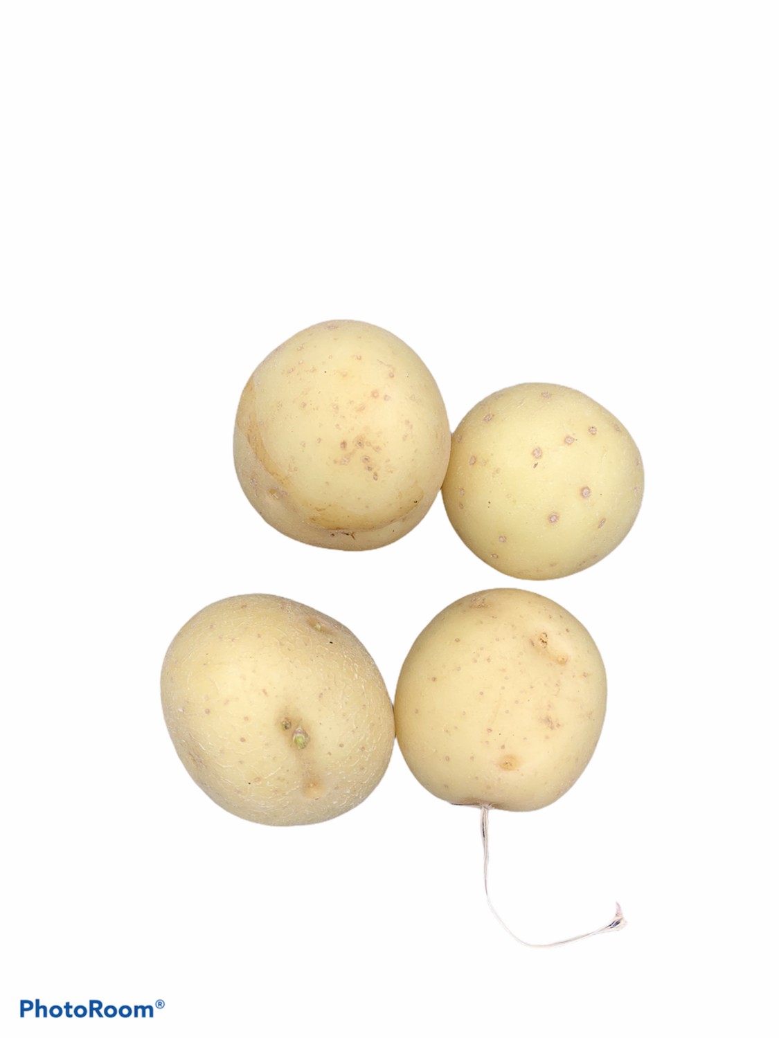 Potato Baby Bag 10kg 