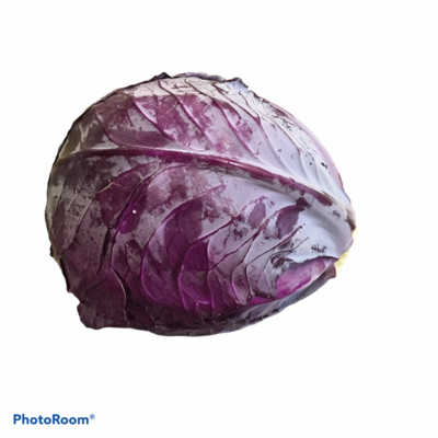 Cabbage Red Each