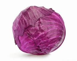 Cabbage Red Each