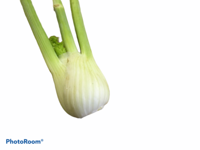 Fennel Bulbs each