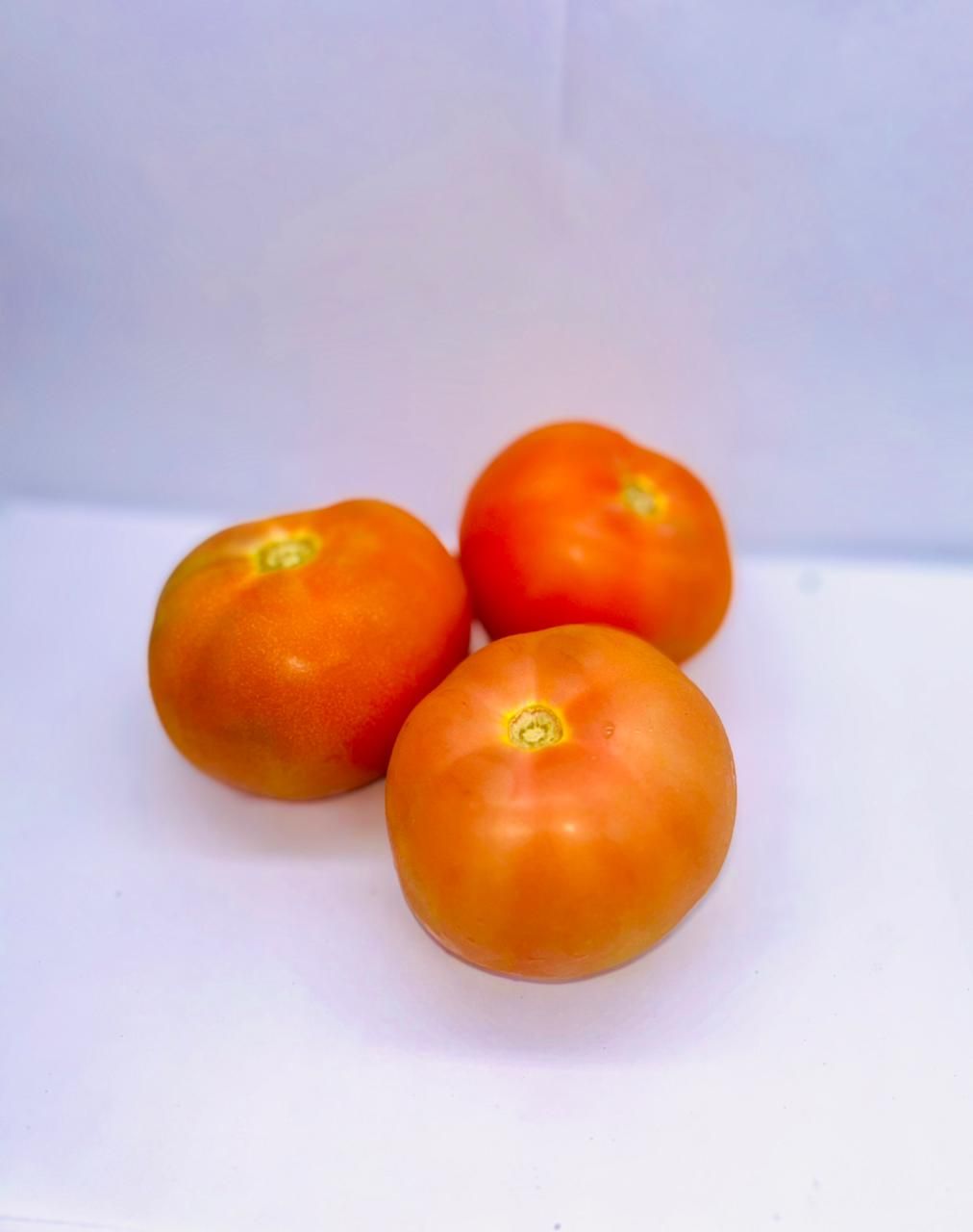 Tomatoes P/kg