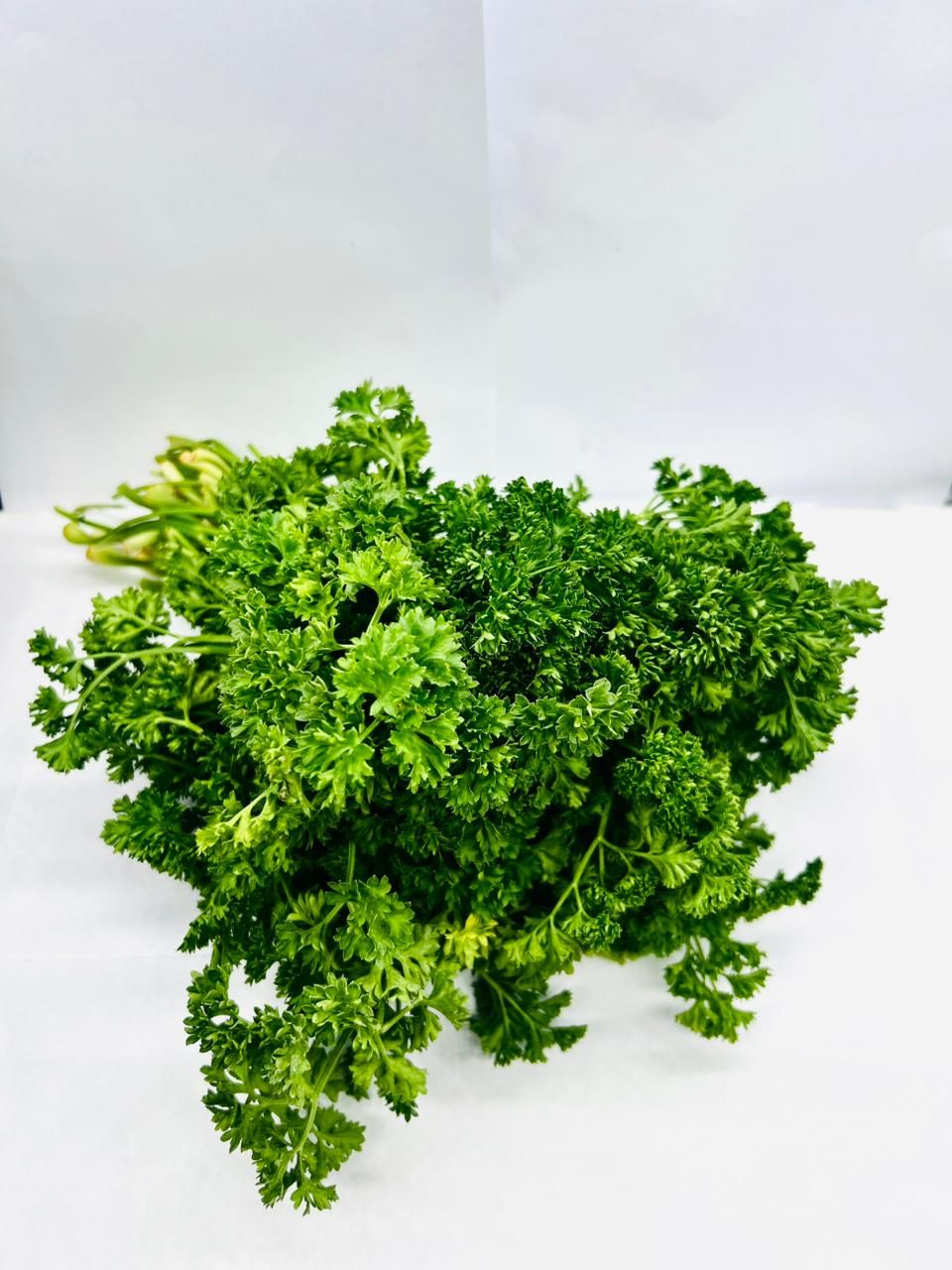 Parsley Bunch