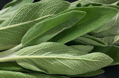 Sage 30g 