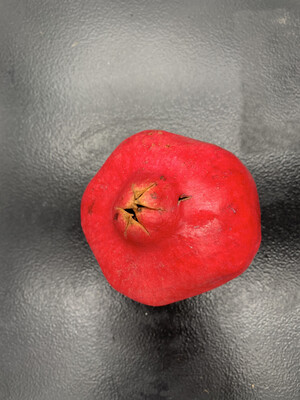 Pomegranates Each