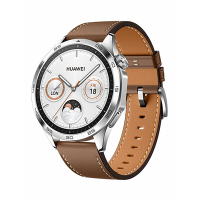 Умные часы Huawei Watch 4 46мм (коричневый)