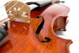 Violins