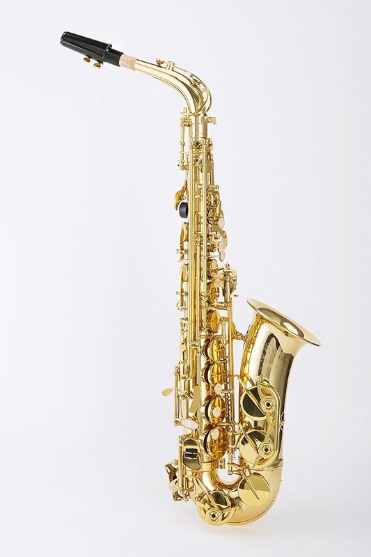 Valkyrie 352BNTW Eb Alto Saxophone