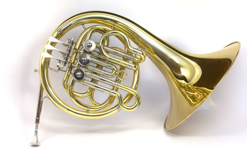 Valkyrie 1100L French Horn (single)