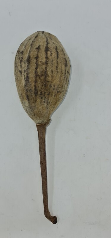 Ubuyu Baobab 277g £15 free postage within UK