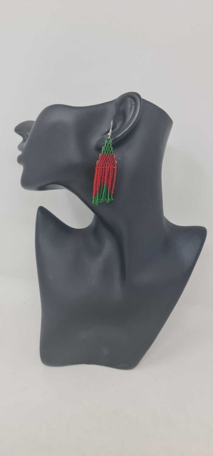 Hand beaded Earrings