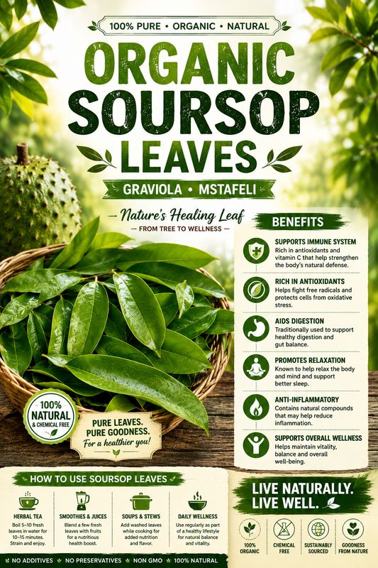 Organic Dried Soursop Leaves (Graviola / Mstafeli) – Naturally Harvested Wellness