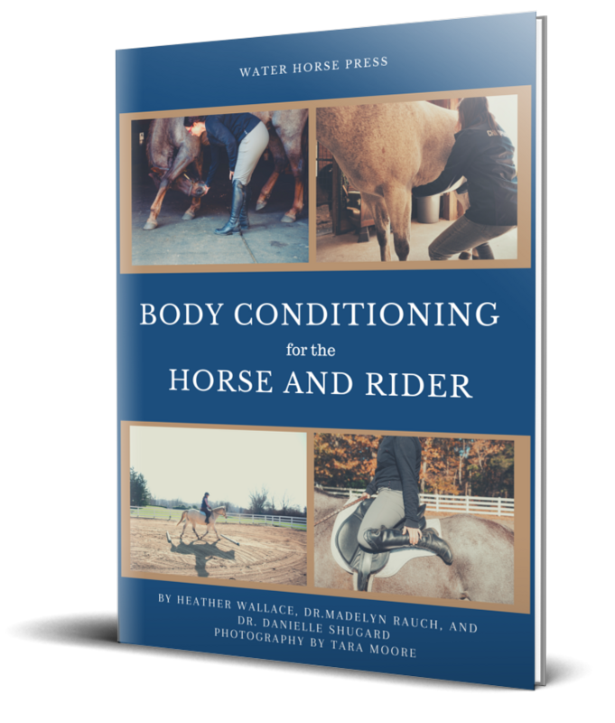 Body Conditioning for the Horse and Rider