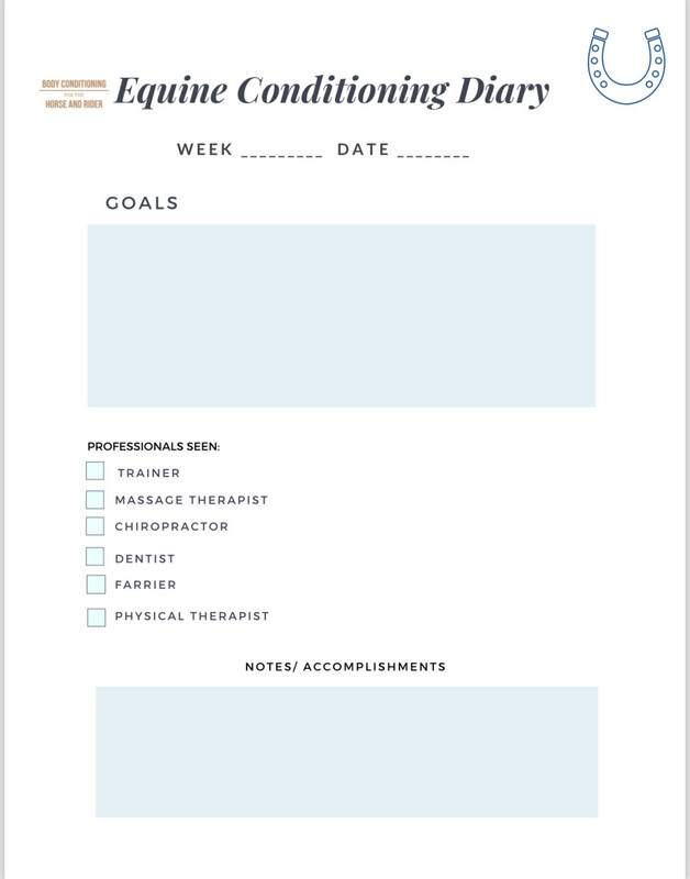 Printable Equine Conditioning Diary