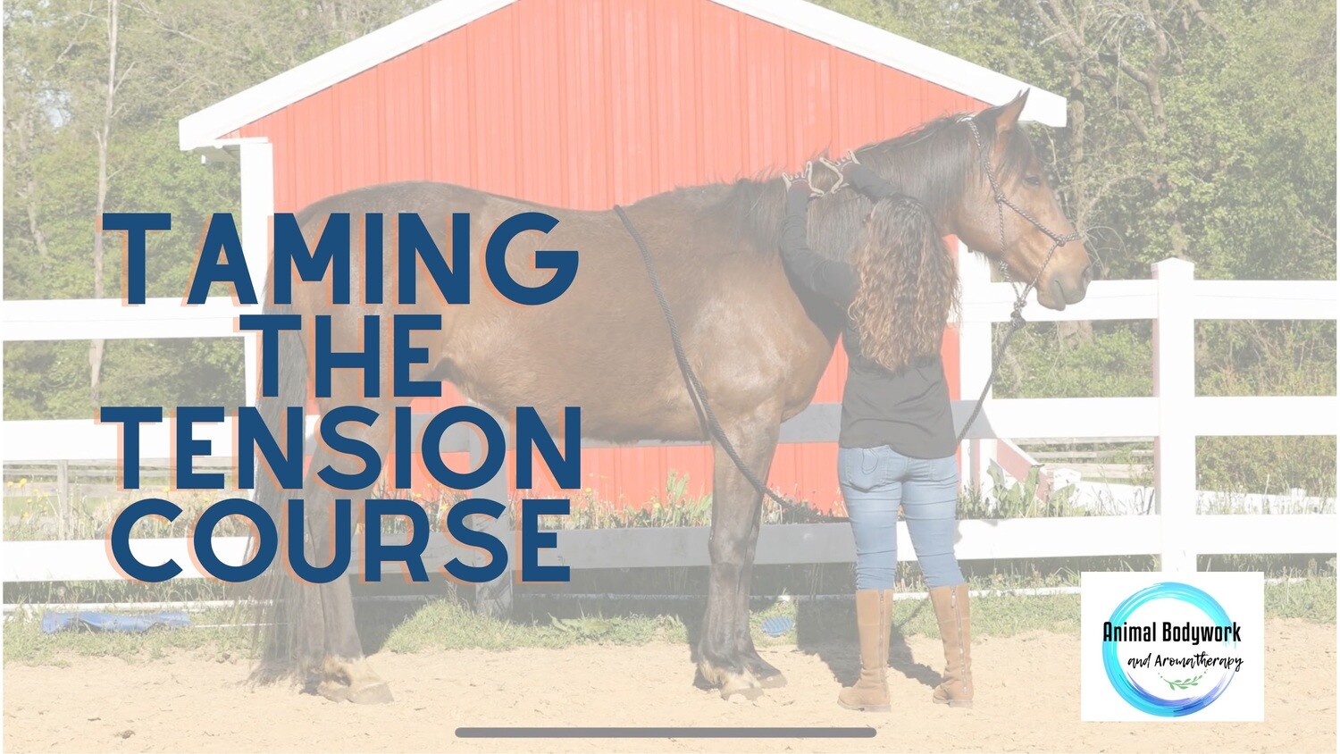 (Video Course) Recognizing and Relieving Tension in Your Horse