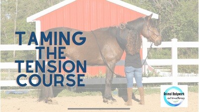 (Video Course) Recognizing and Relieving Tension in Your Horse