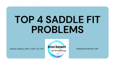 Top Four Saddle Fit Problems