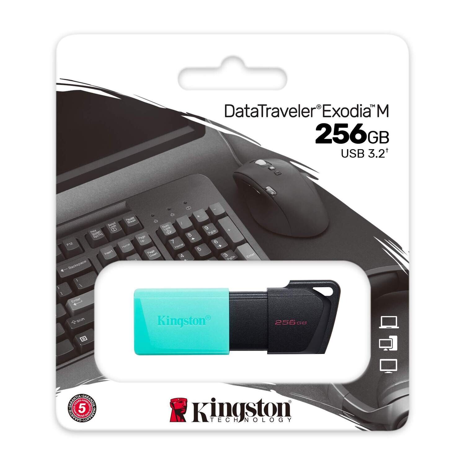 Kingston 256GB USB Flash Drive