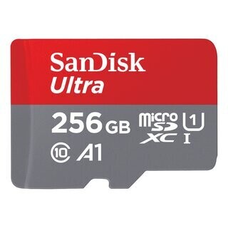 SanDisk microSDXC UHS-I Memory Card - 256 GB - W/ ADAPTER